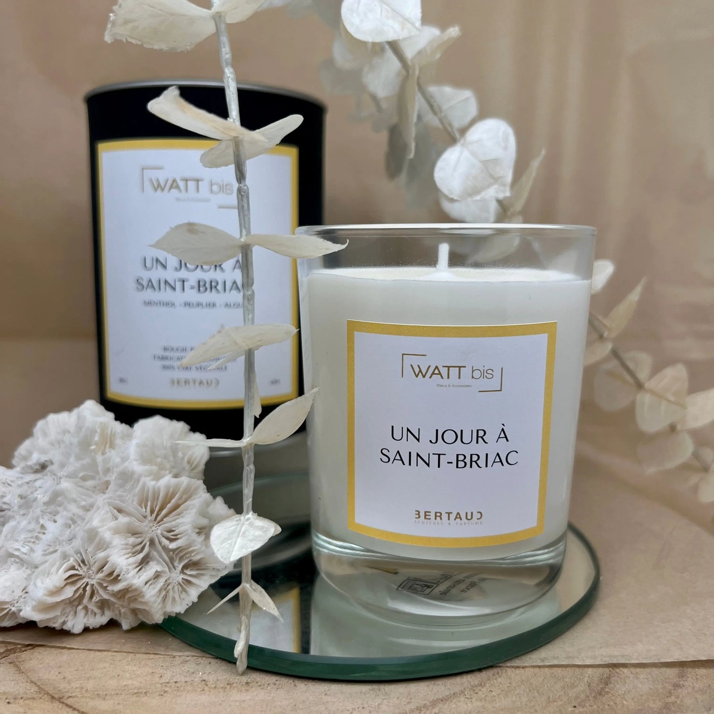 Bougie Un jour à Saint Briac - Mentol, Peuplier et Algue