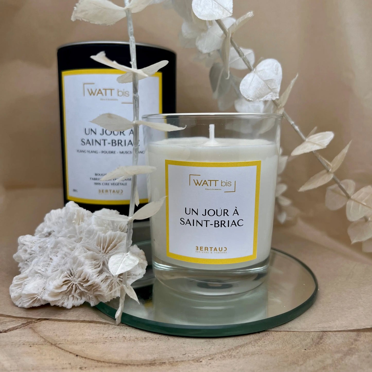 Bougie Un jour à Saint Briac - Ylang-Ylang, Poudre et Musc Blanc