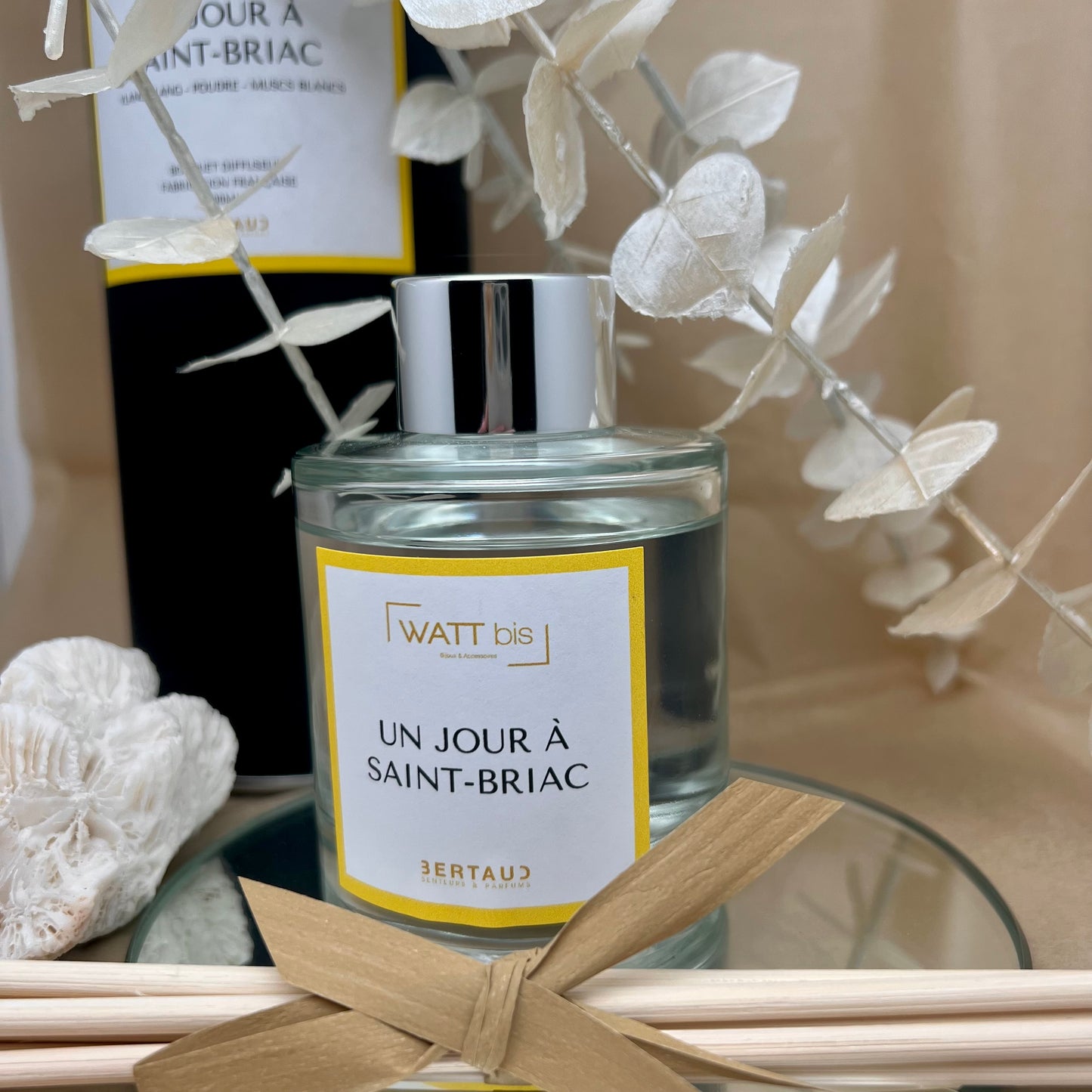 Diffuseur de senteur Un jour à Saint Briac Watt bis
