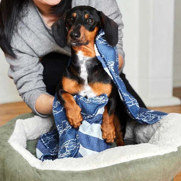 Serviettes pour chien Dock and bay
