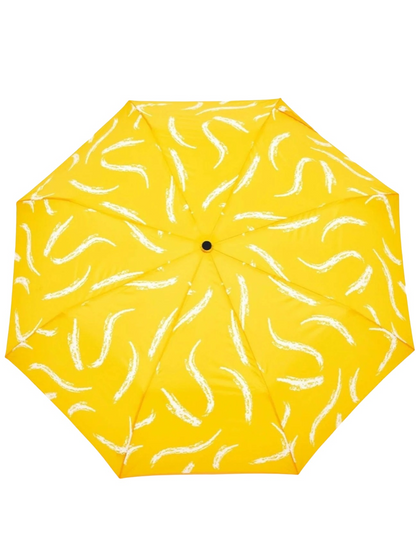 Parapluie canard