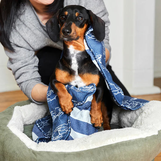 Sèche serviette pour chiens